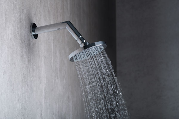 multi-function shower head