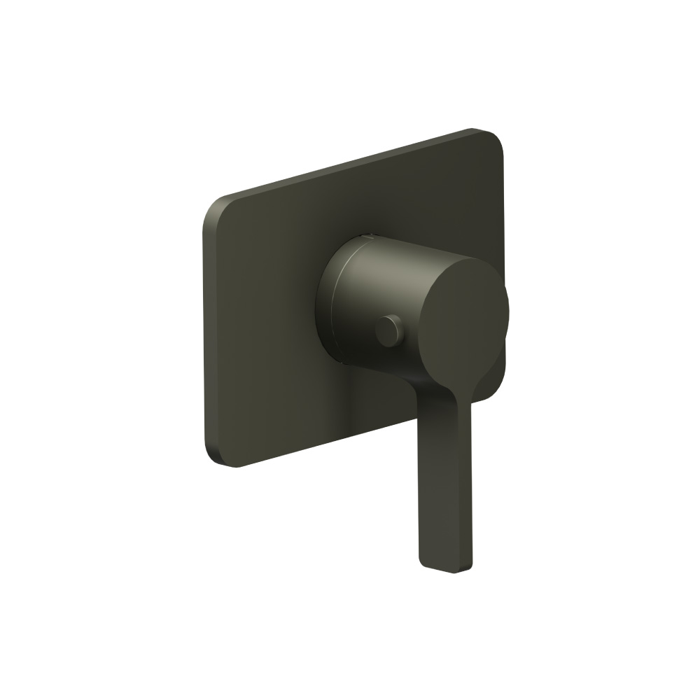 3/4" Thermostatic Valve With Trim | Gun Metal Grey