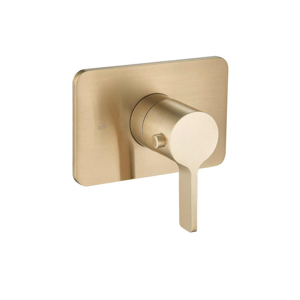 3/4" Thermostatic Valve With Trim | Geborsteld brons PVD