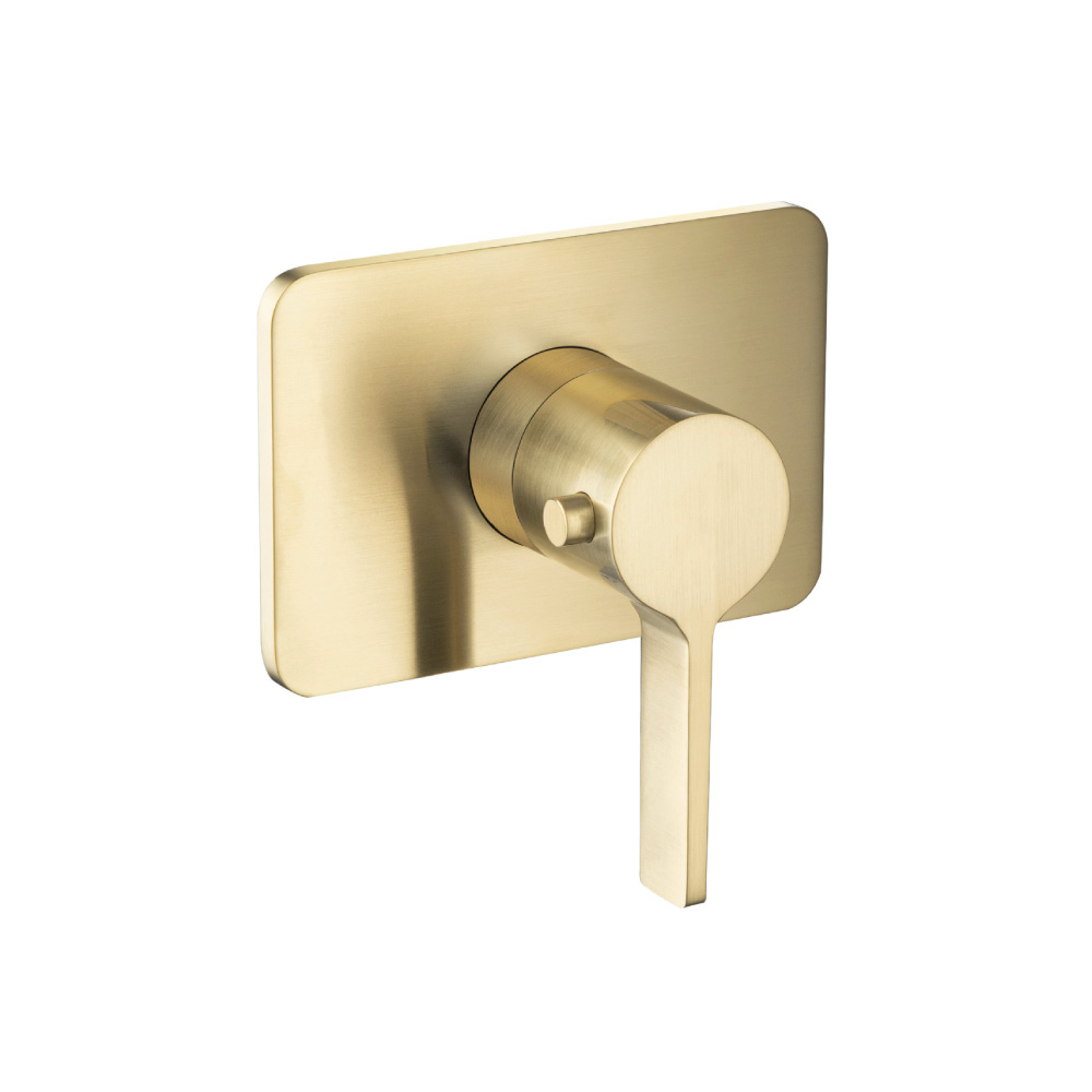 3/4" Thermostatic Valve With Trim | Geborsteld messing PVD