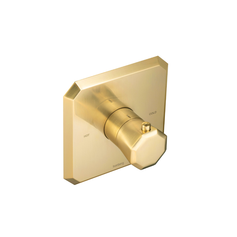 3/4" Thermostatic Valve With Trim | Geborsteld messing PVD