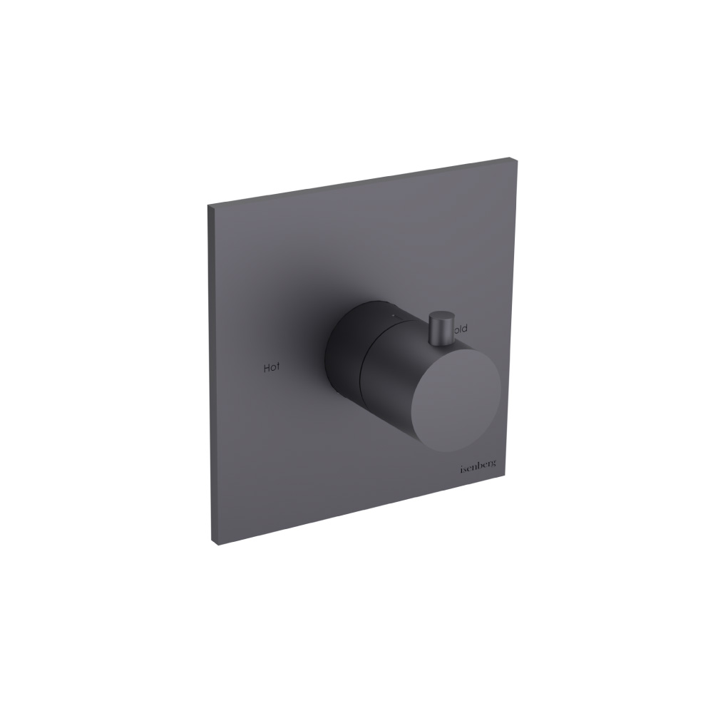 3/4" Thermostatic Valve With Trim | Dark Grey