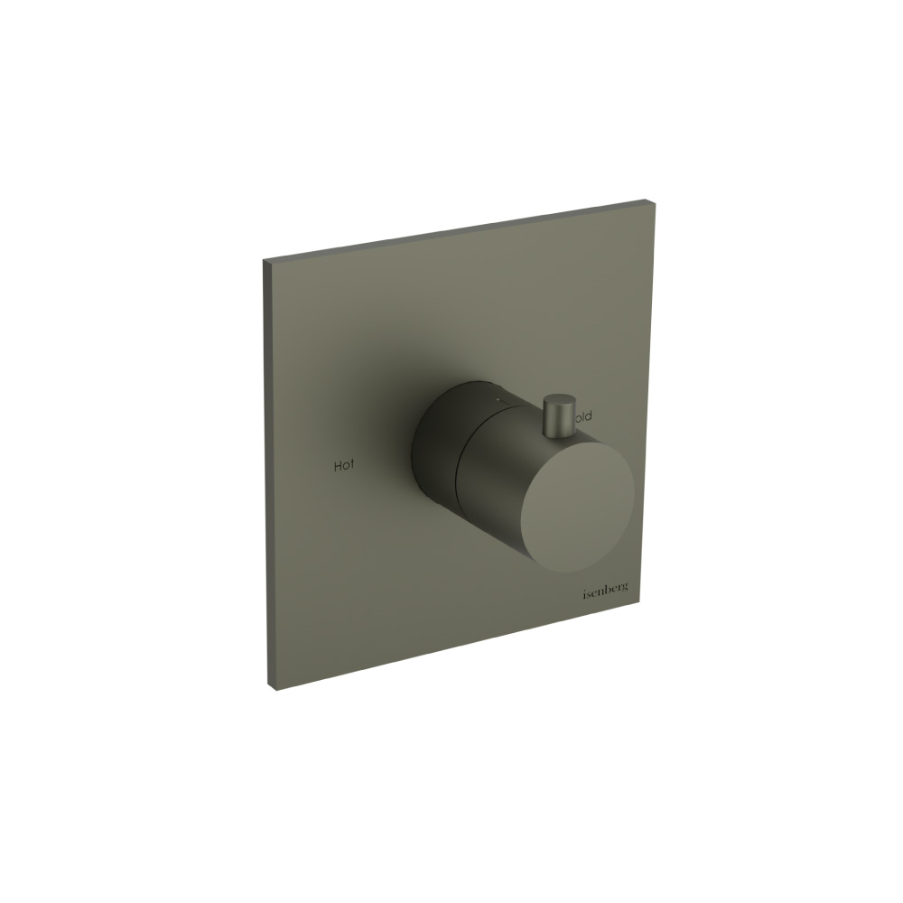 3/4" Thermostatic Valve With Trim | Gun Metal Grey