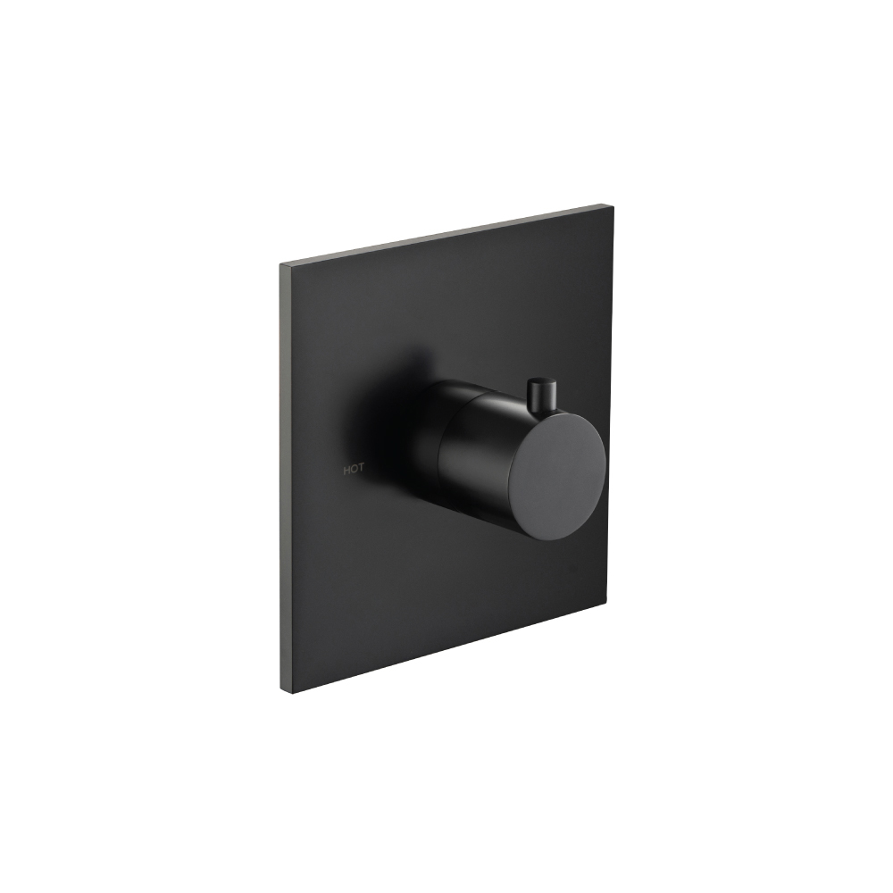 3/4" Thermostatic Valve With Trim | Mat zwart