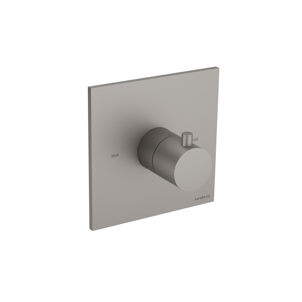 3/4" Thermostatic Valve With Trim | Steel Grey