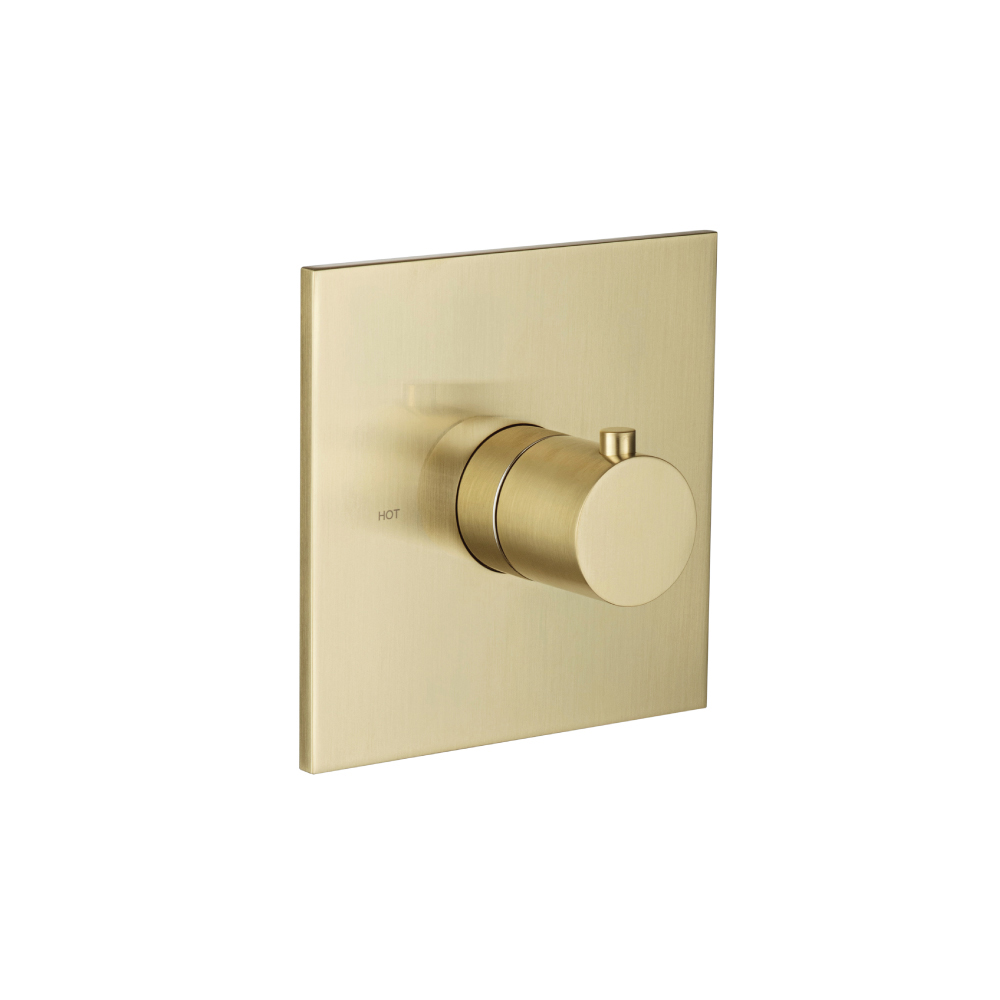 3/4" Thermostatic Valve With Trim | Geborsteld messing PVD