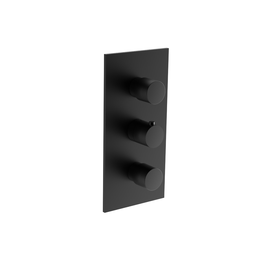 Thermostatische douchemengkraan - 2 uitgangen | Gloss Black