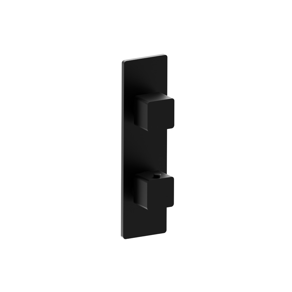 Thermostatische douchemengkraan - 1 uitgang | Gloss Black