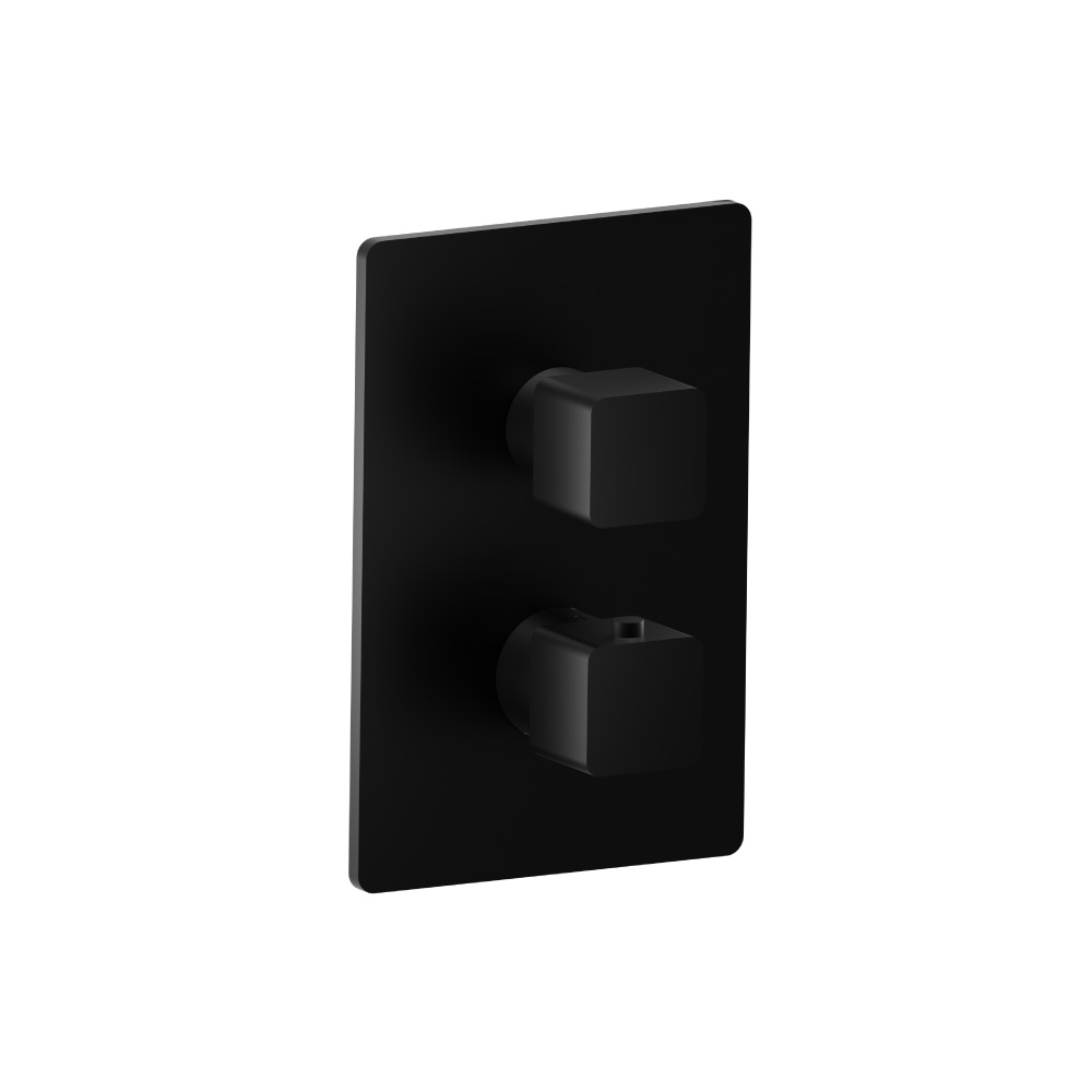 Thermostatische douchemengkraan - 1 uitgang | Gloss Black