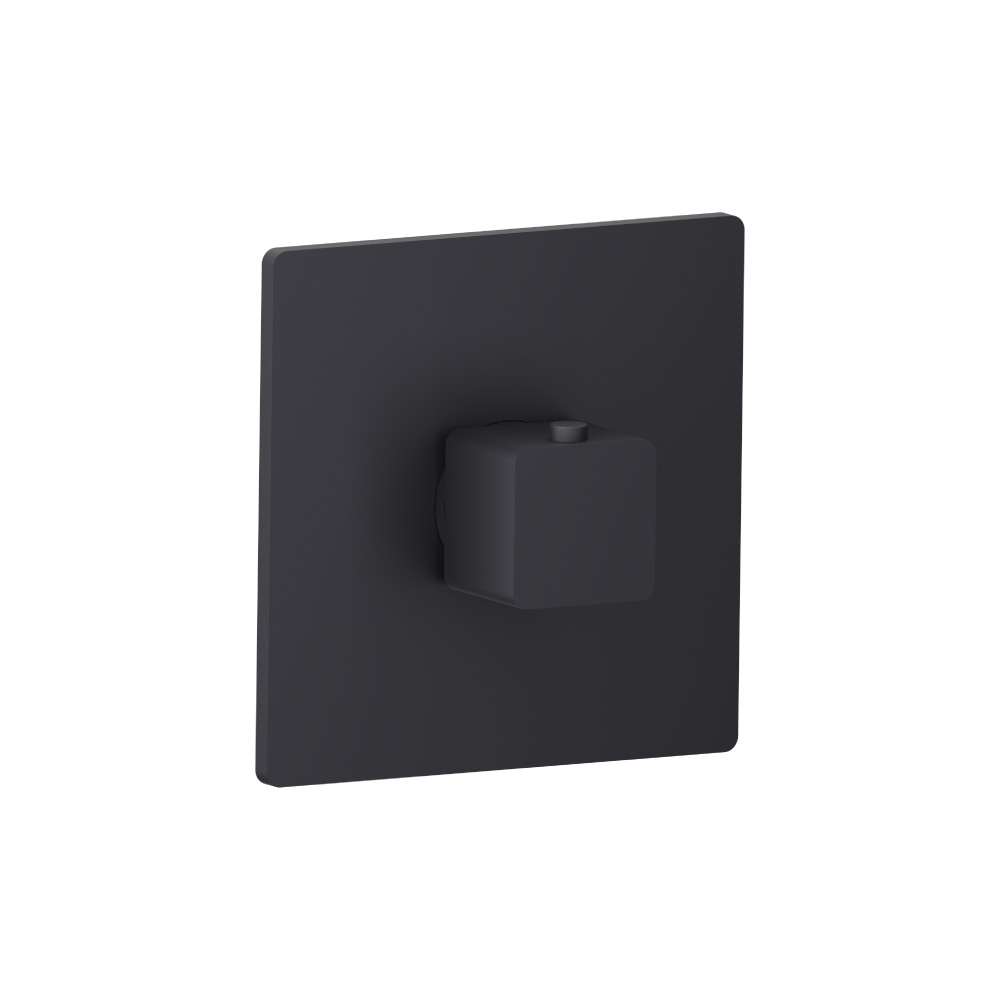 3/4" Thermostatic Valve With Trim | Dark Grey