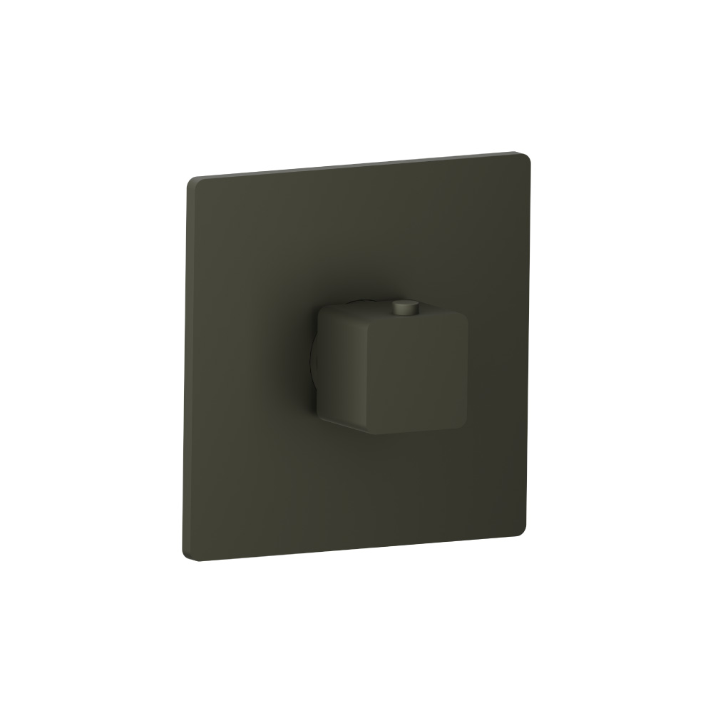 3/4" Thermostatic Valve With Trim | Gun Metal Grey