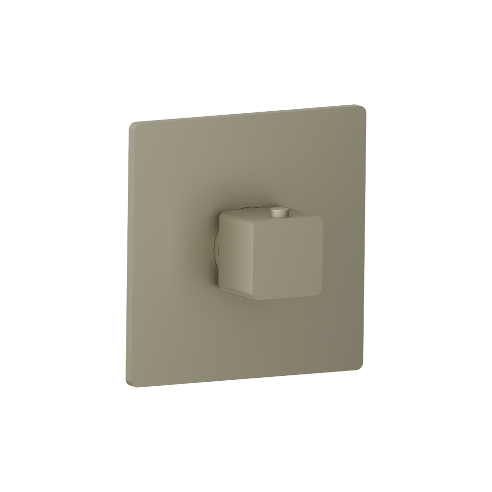 3/4" Thermostatic Valve With Trim | Light Verde