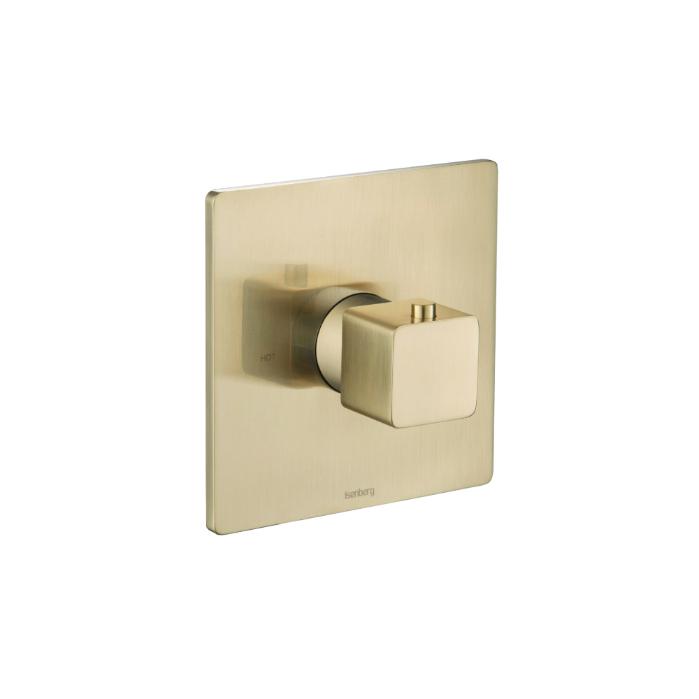 3/4" Thermostatic Valve With Trim | Geborsteld messing PVD