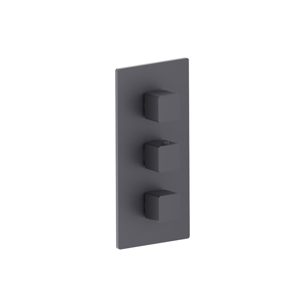 Thermostatische douchemengkraan - 2 uitgangen | Dark Grey